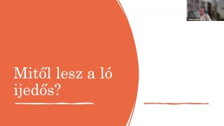 A ló motivációja workshop (1)